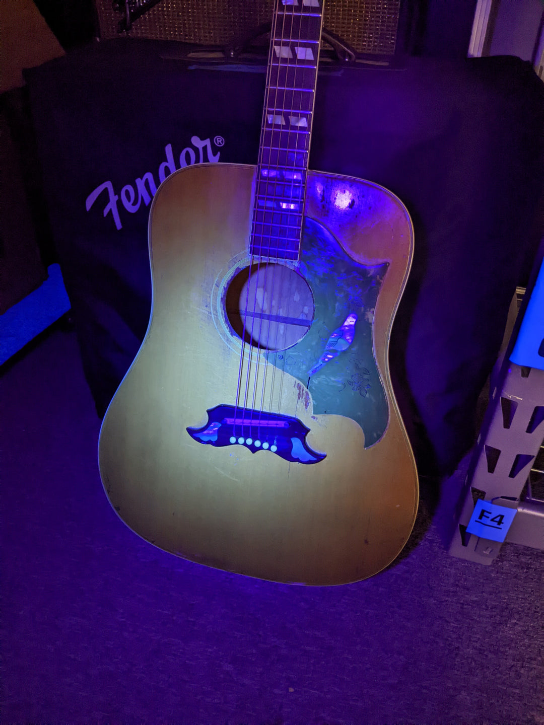 1970-1972 Gibson Dove Natural