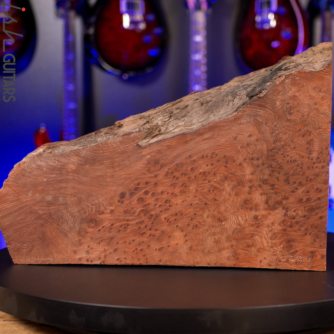 Spector USA NS-2 Redwood Burl Natural