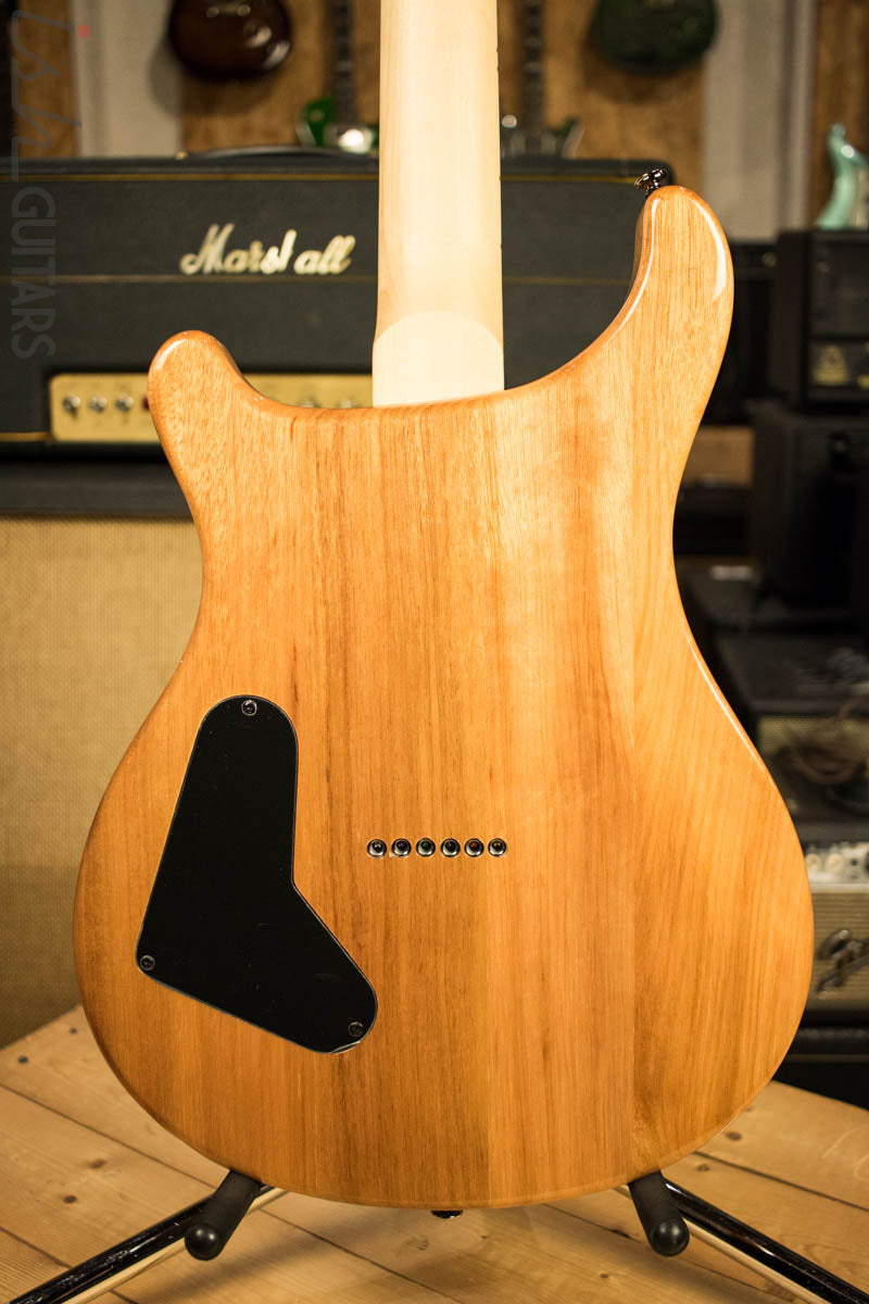 Paul Reed Smith PRS Mark Holcomb SE Quilted Maple Trampas Green Ish Guitars Exclusive (DEMO VIDEO)