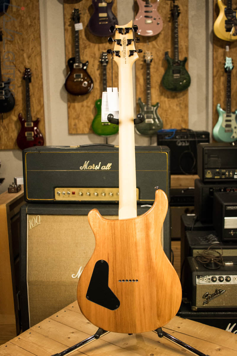 Paul Reed Smith PRS Mark Holcomb SE Quilted Maple Trampas Green Ish Guitars Exclusive (DEMO VIDEO)