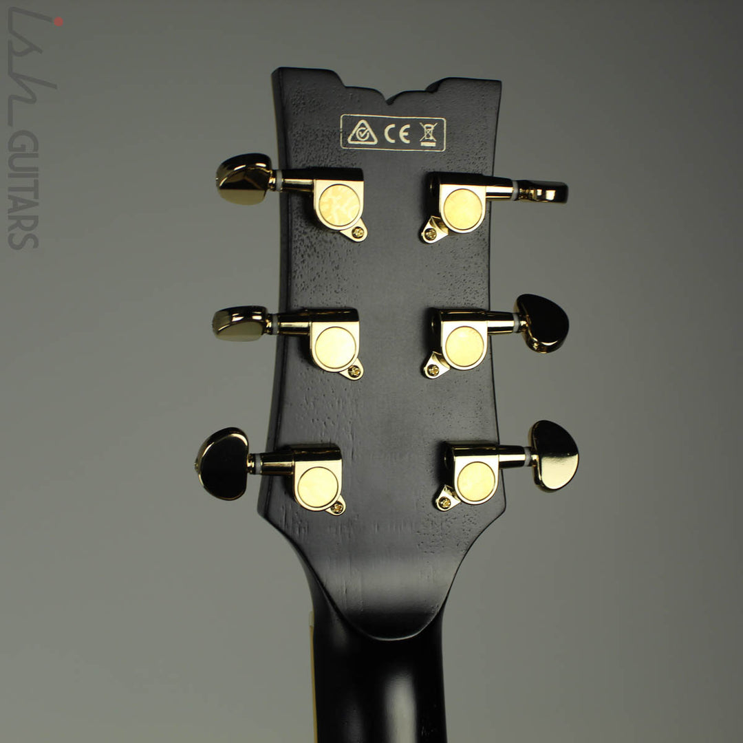 Ibanez JSM20 John Scofield Black w/ Case