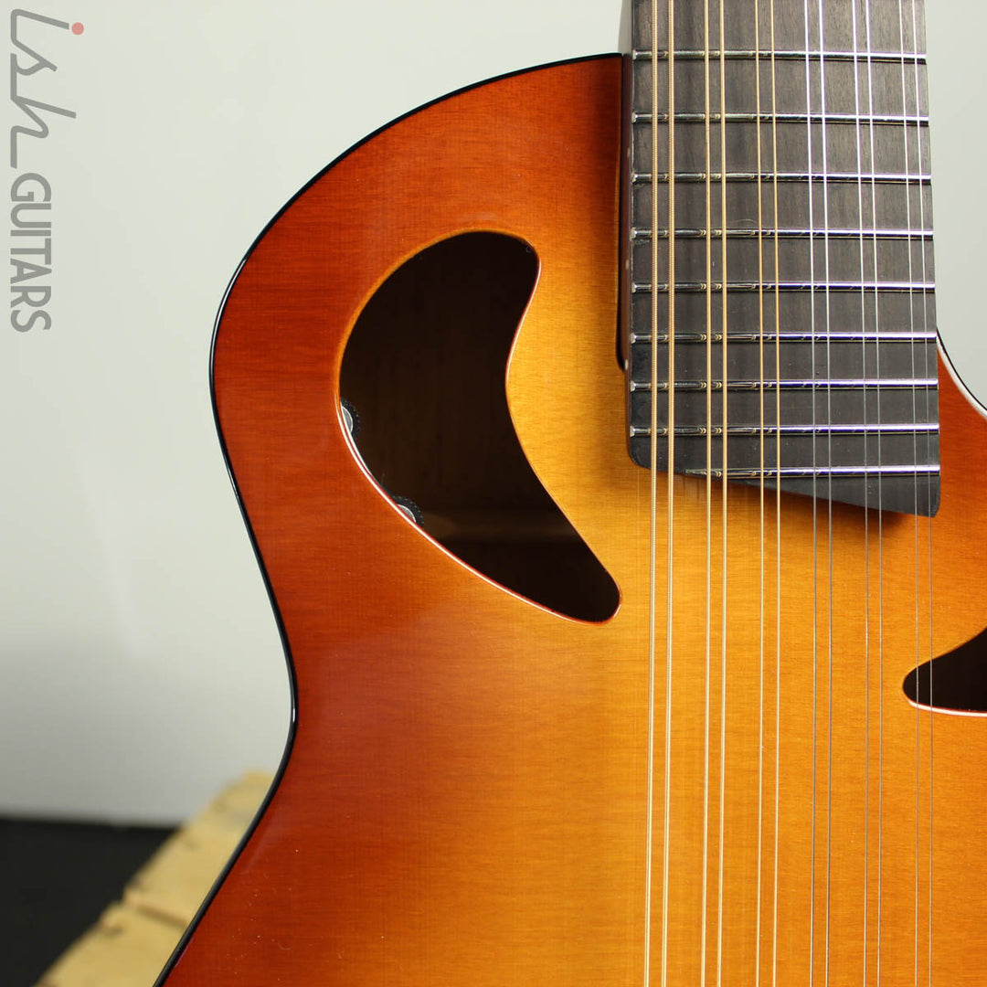 Veillette Avante Gryphon 12 String Tobacco Burst