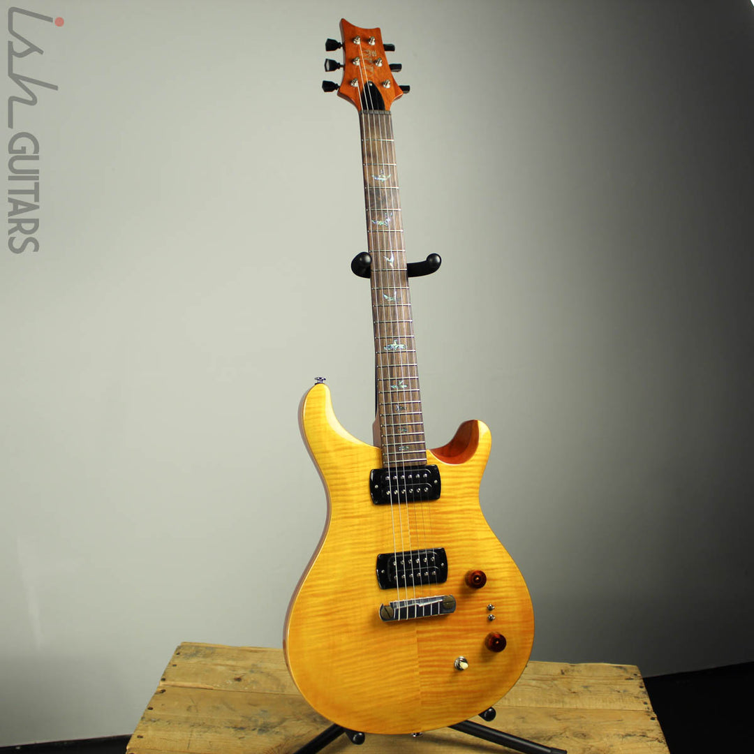 2019 PRS Paul Reed Smith SE Paul&