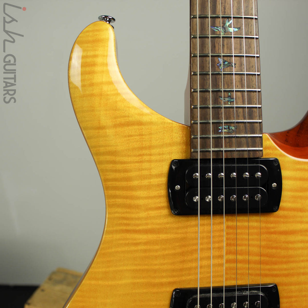 2019 PRS Paul Reed Smith SE Paul&
