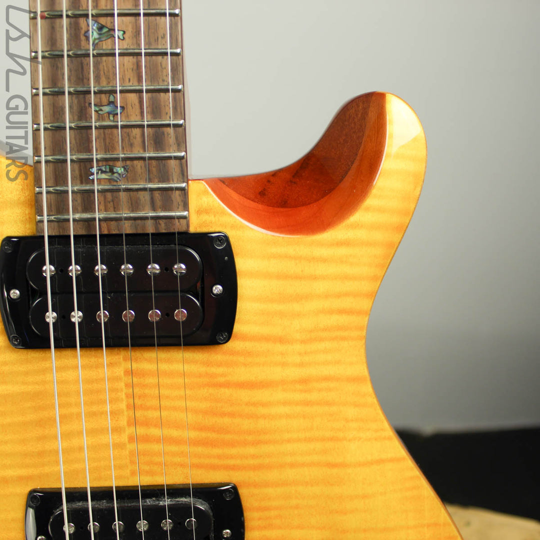2019 PRS Paul Reed Smith SE Paul&