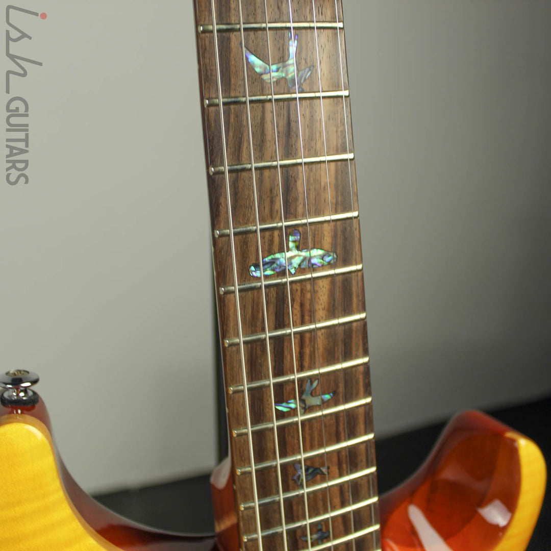 2019 PRS Paul Reed Smith SE Paul&