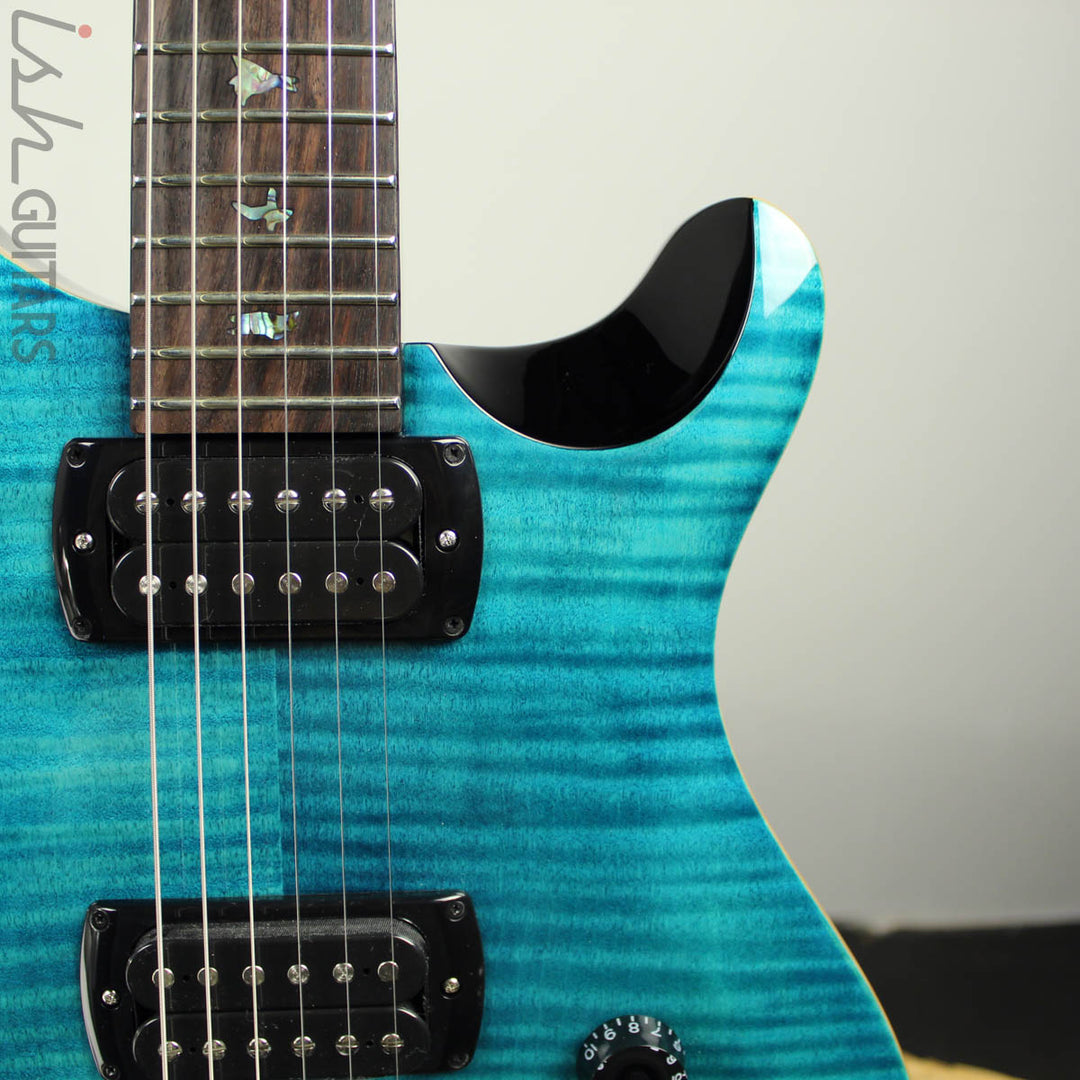 2019 PRS Paul Reed Smith SE Paul&
