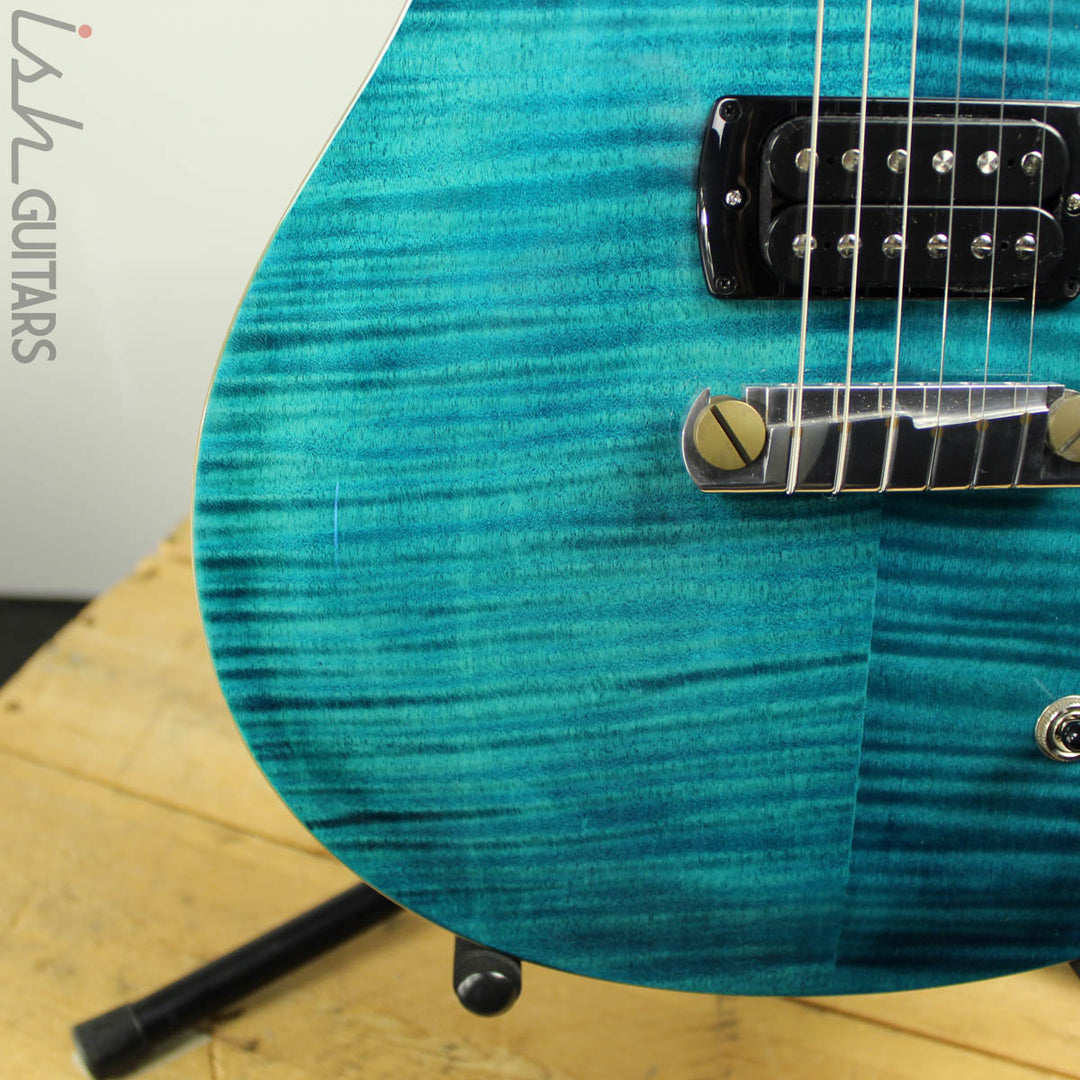 2019 PRS Paul Reed Smith SE Paul&