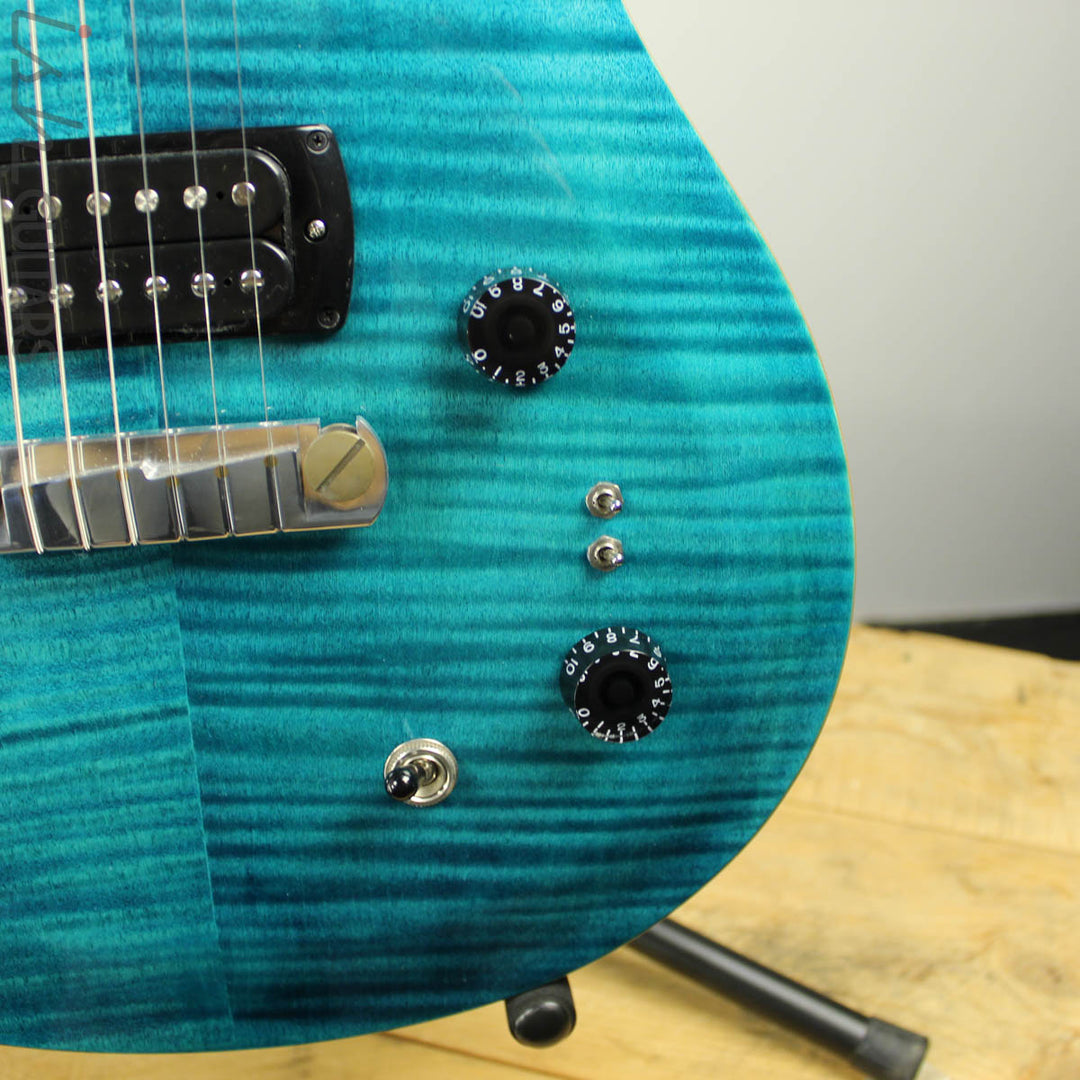 2019 PRS Paul Reed Smith SE Paul&