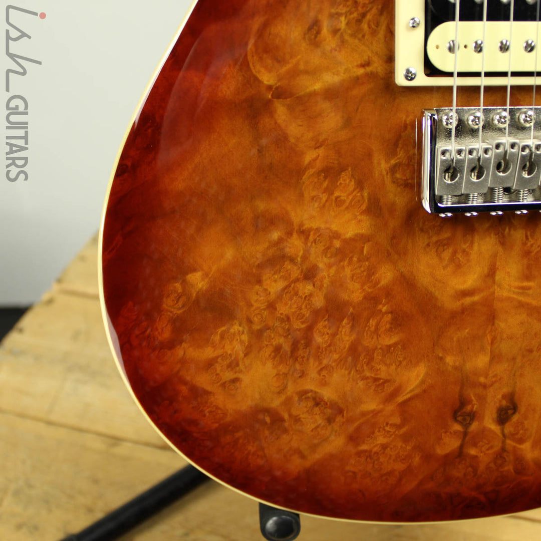 2019 PRS SE Custom 24 Burl