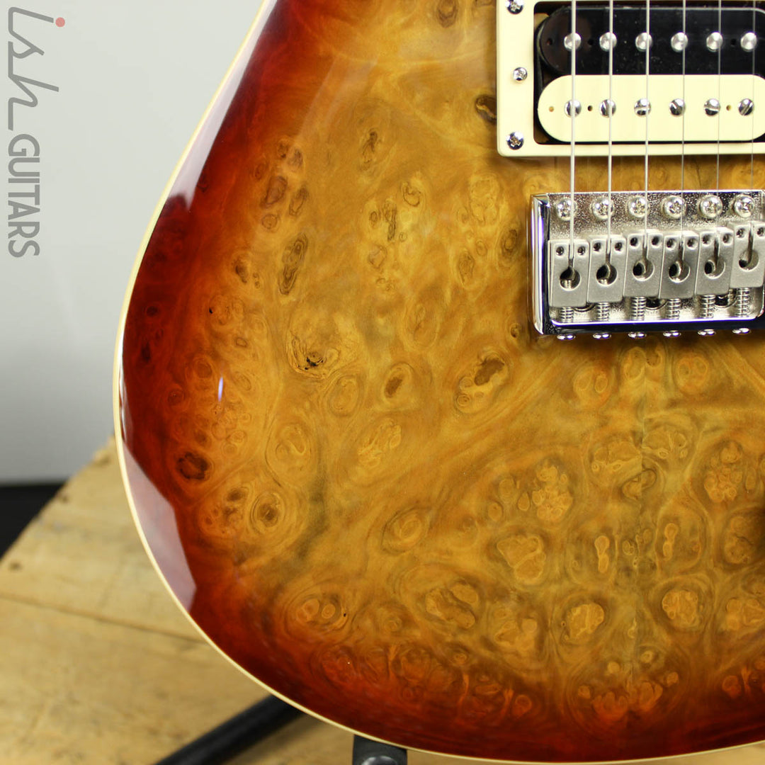 2019 PRS SE Custom 24 Burl