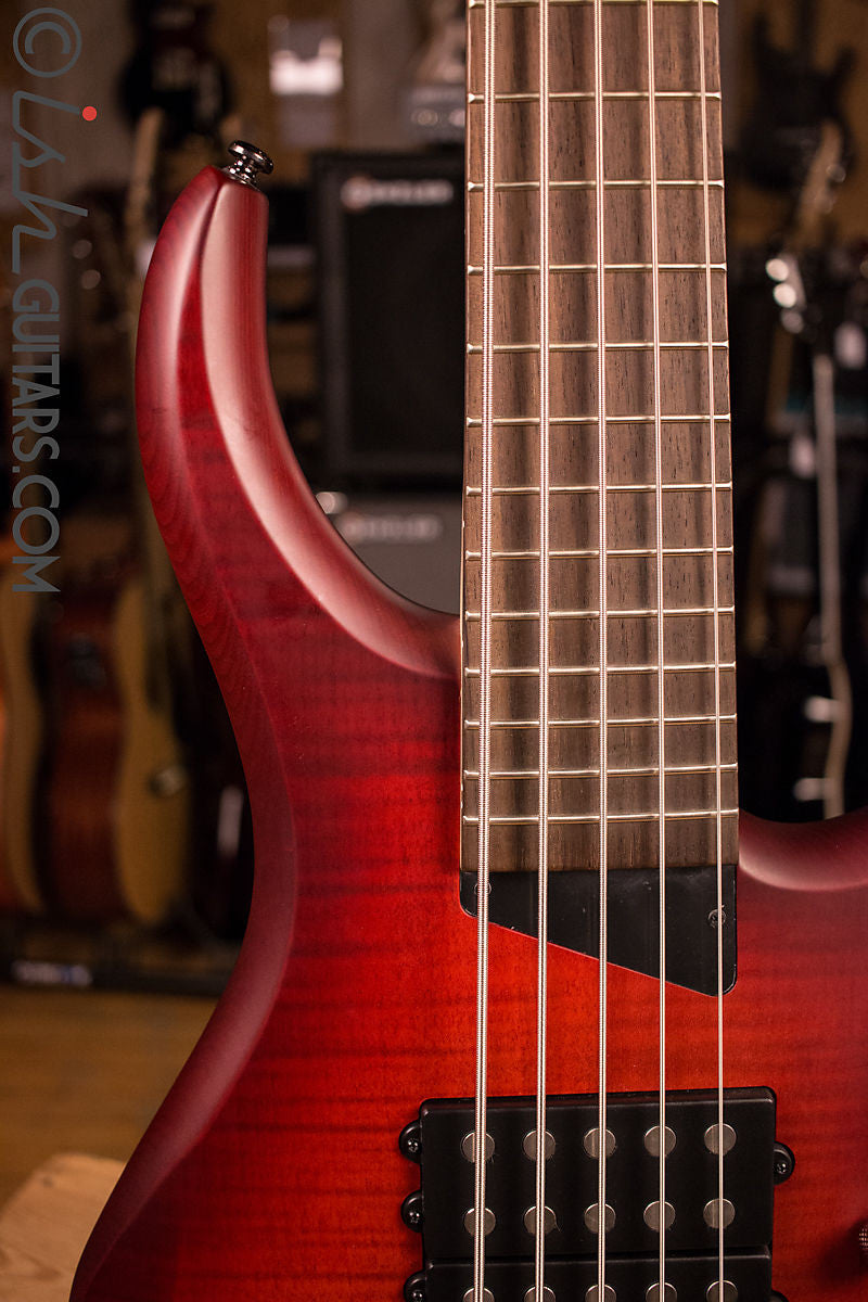 MTD Kingston Super 5 Dr. Brown&