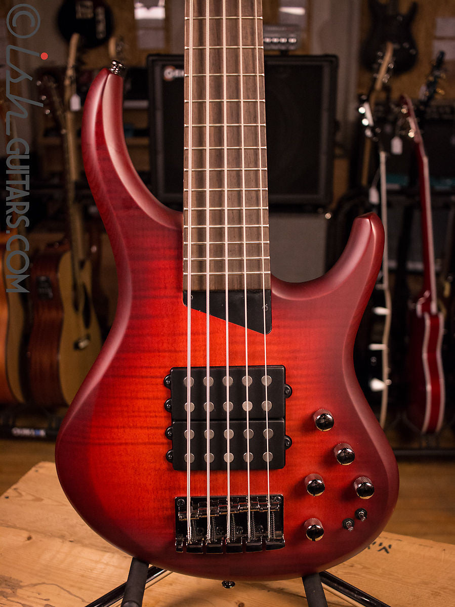 MTD Kingston Super 5 Dr. Brown&