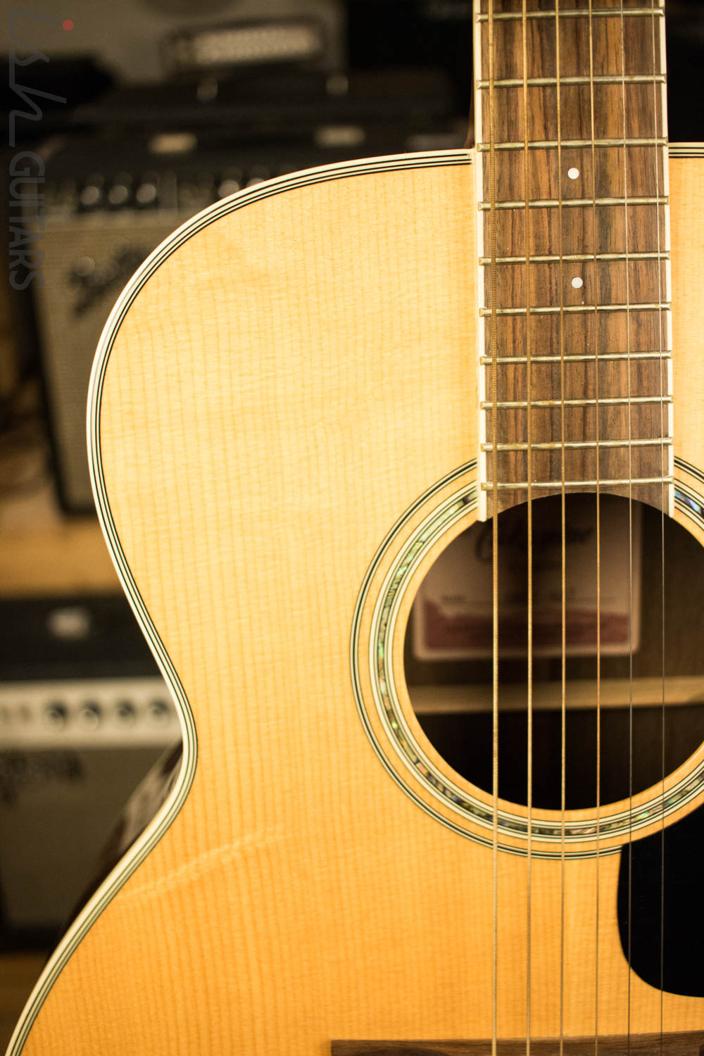Takamine GN51