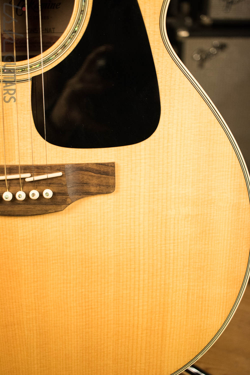 Takamine GN51