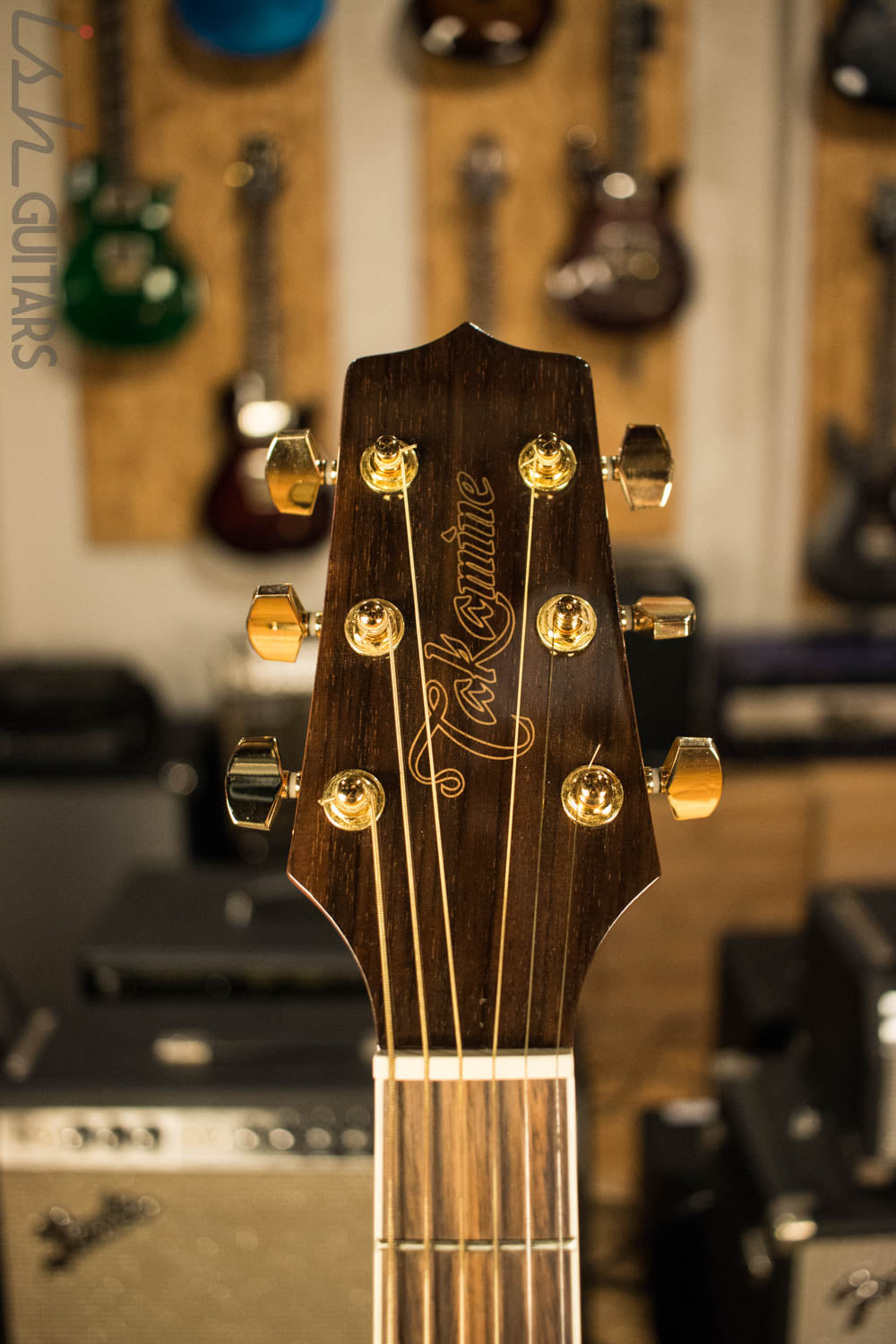 Takamine GN51