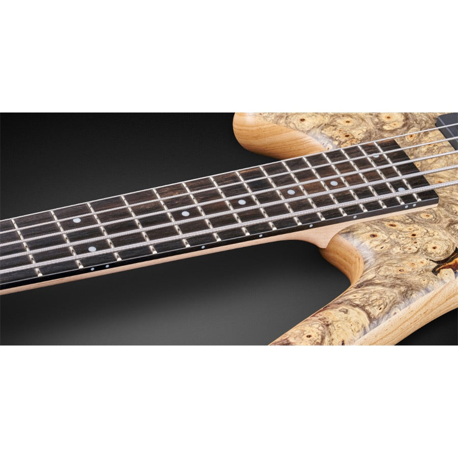 2019 Warwick Limited Edition Corvette $$ Bolt On Bass PRE-ORDER
