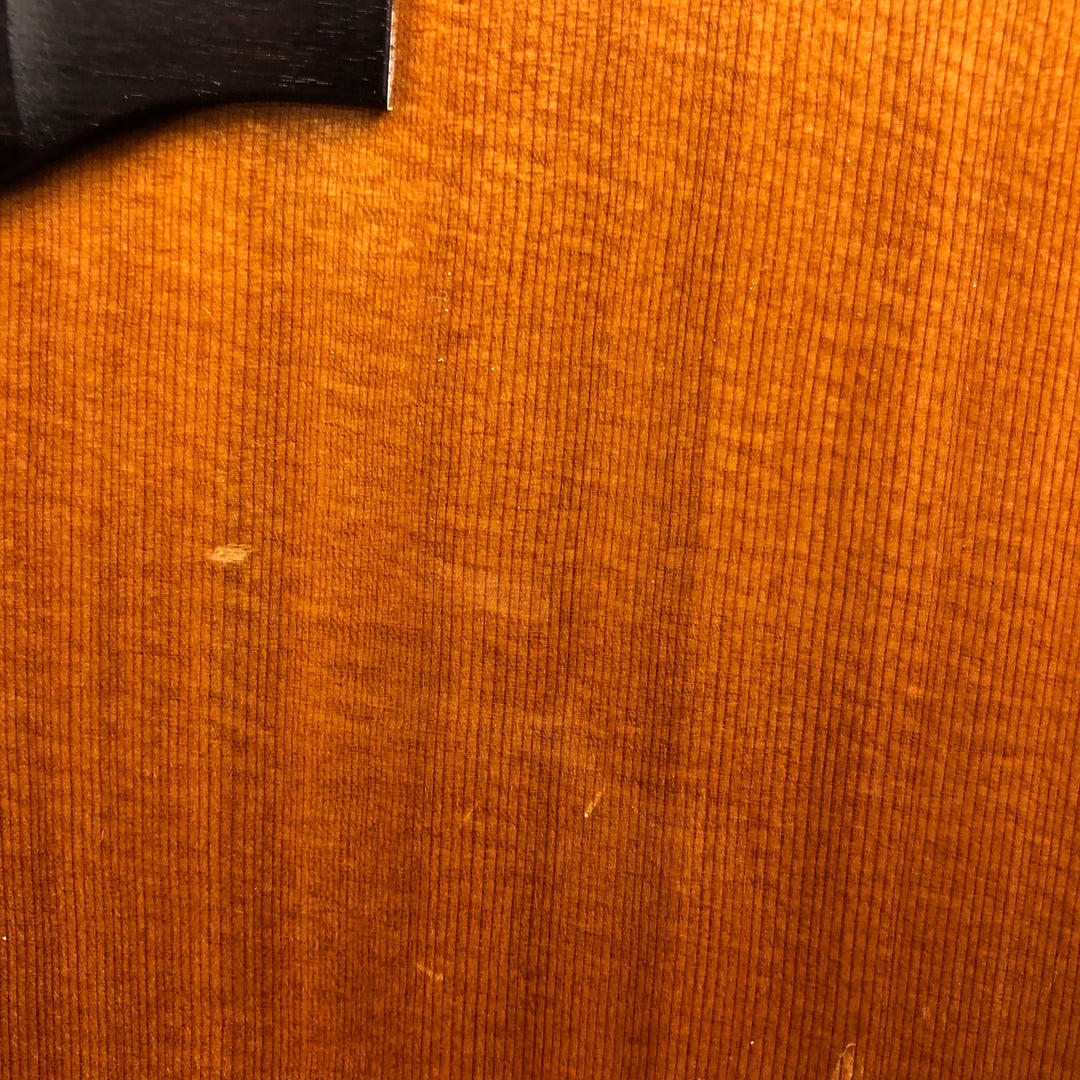 1981 Alvarez Yairi DY68 12 String