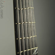 Mattisson Series IV "Space Tents" 6-String Bass
