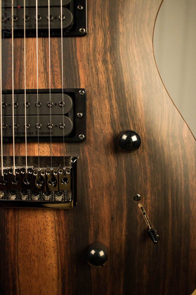 Paul Reed Smith PRS Mark Holcomb SE Macassar Ebony Natural Satin Ish Guitars Exclusive 