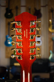 Gretsch G5422G-12 12-String Electric Guitar