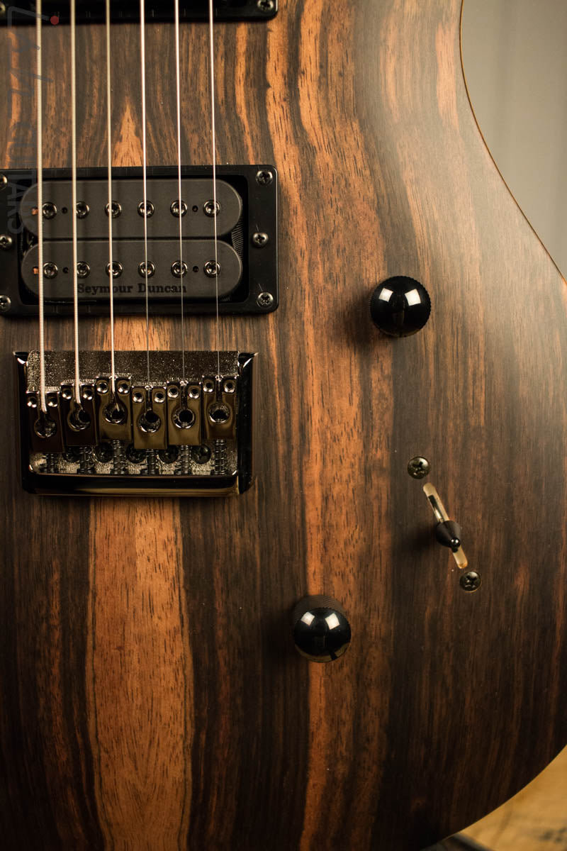 Paul Reed Smith PRS Mark Holcomb SE Macassar Ebony Natural Satin Ish Guitars Exclusive 