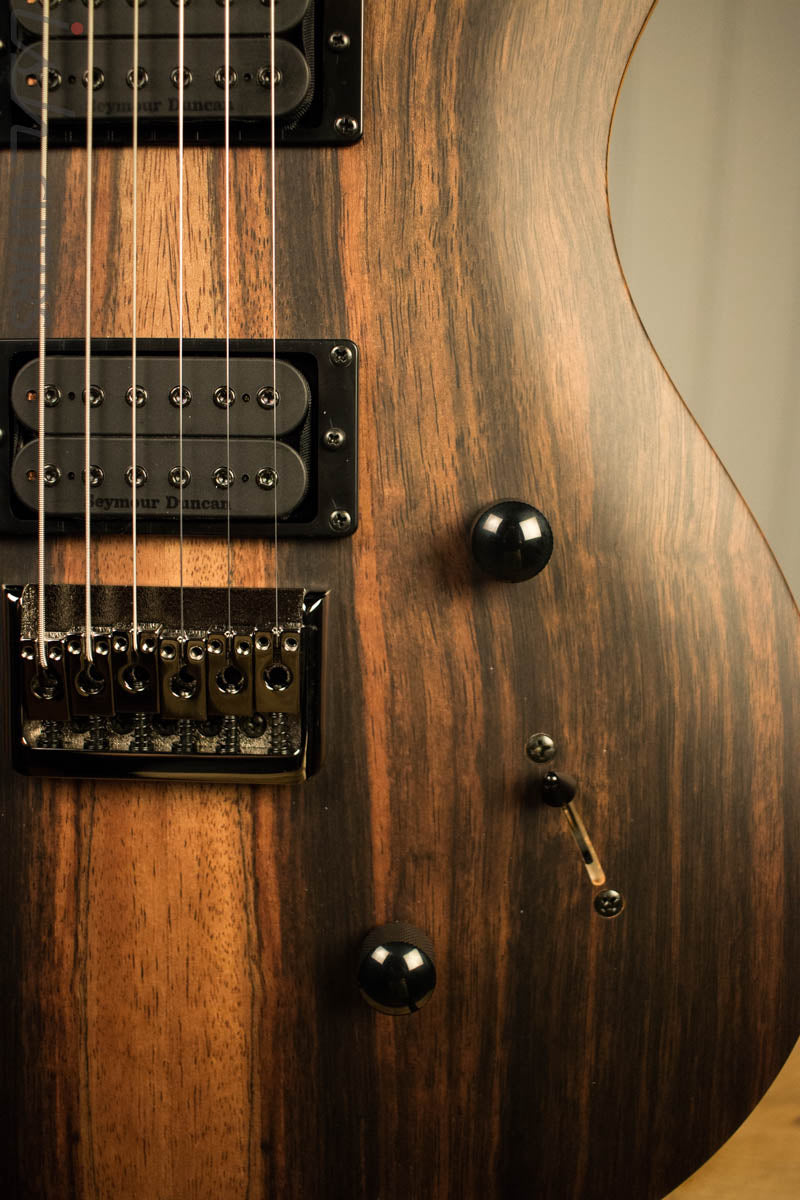 Paul Reed Smith PRS Mark Holcomb SE Macassar Ebony Natural Satin Ish Guitars Exclusive 
