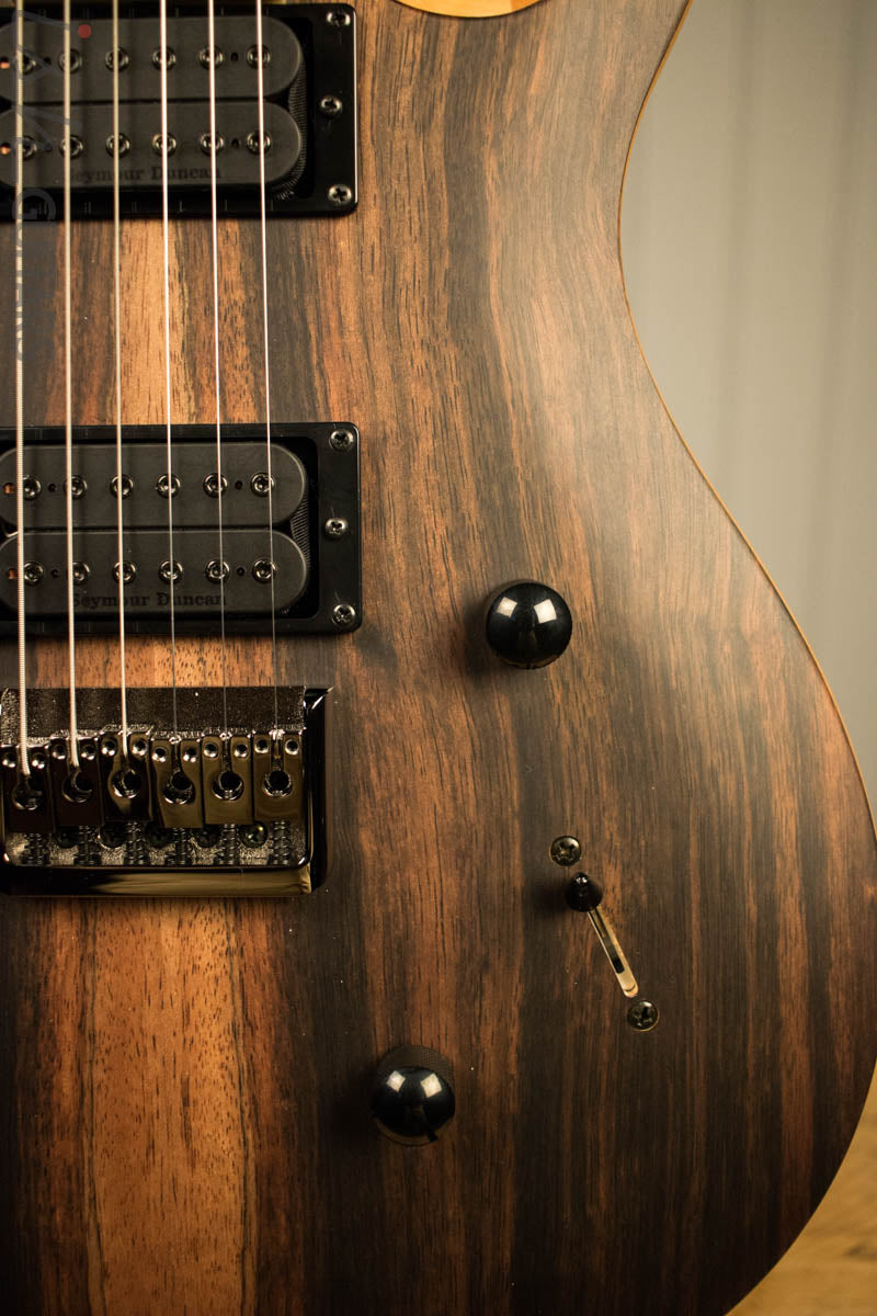 Paul Reed Smith PRS Mark Holcomb SE Macassar Ebony Natural Satin Ish Guitars Exclusive 