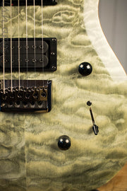 Paul Reed Smith PRS Mark Holcomb SE Quilted Maple Trampas Green Ish Guitars Exclusive #15 (DEMO VIDEO)