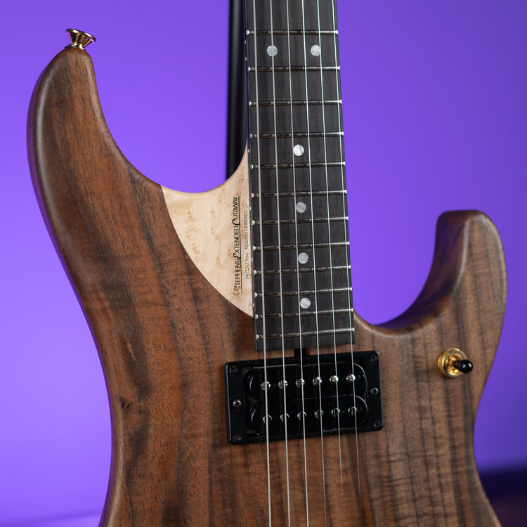 Washburn Limited Edition Nuno Bettencourt Signature Series N4