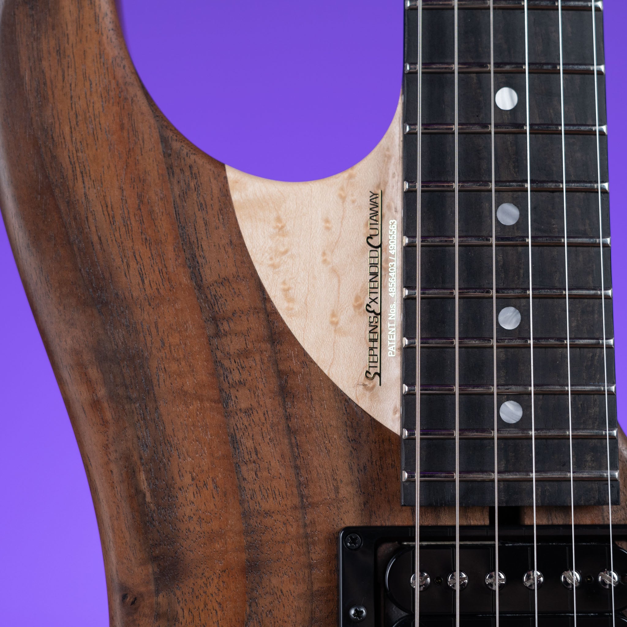 Washburn Limited Edition Nuno Bettencourt Signature Series N4
